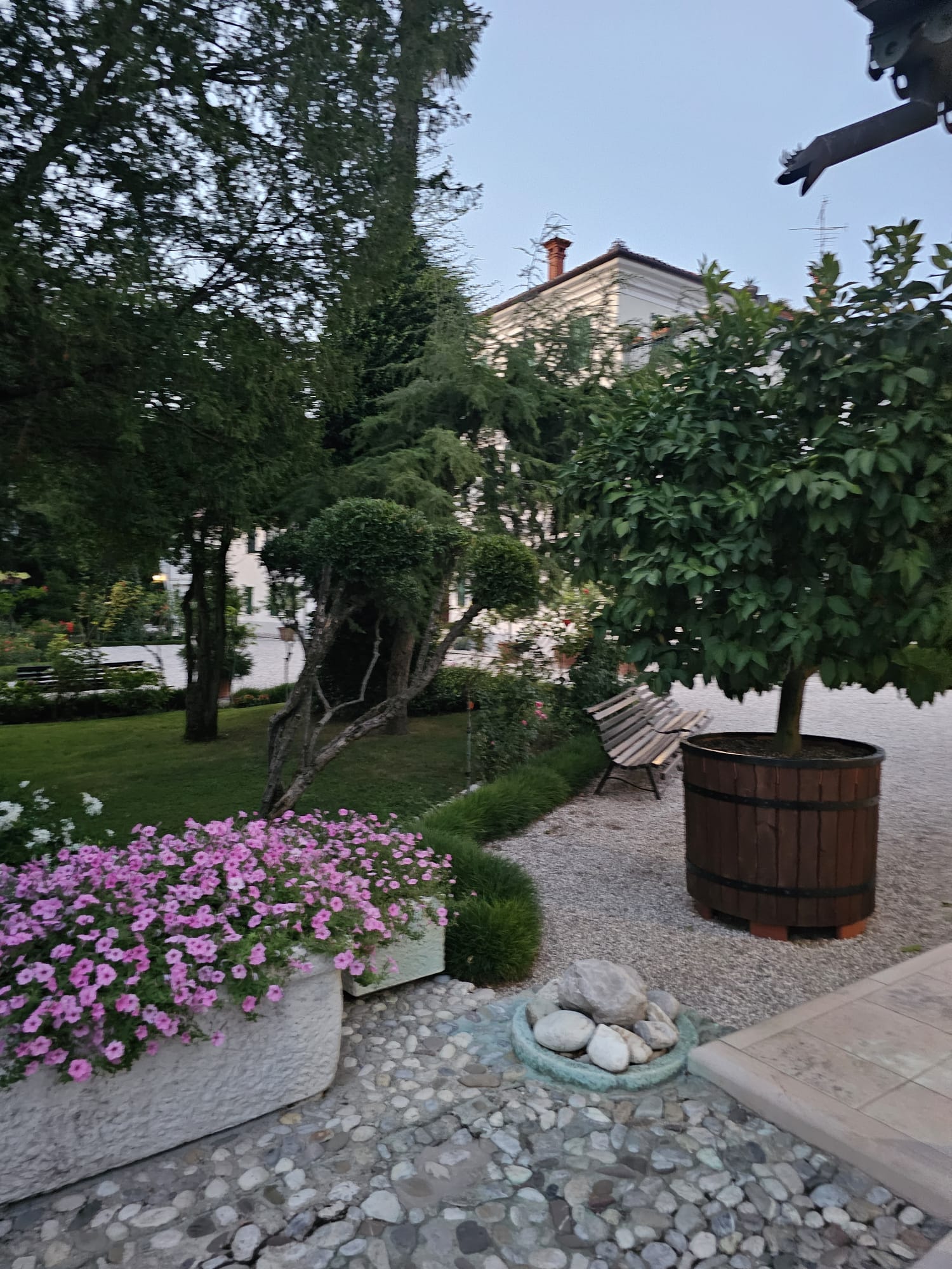 Giardino fiorito con albero da frutto e sentiero in ghiaia